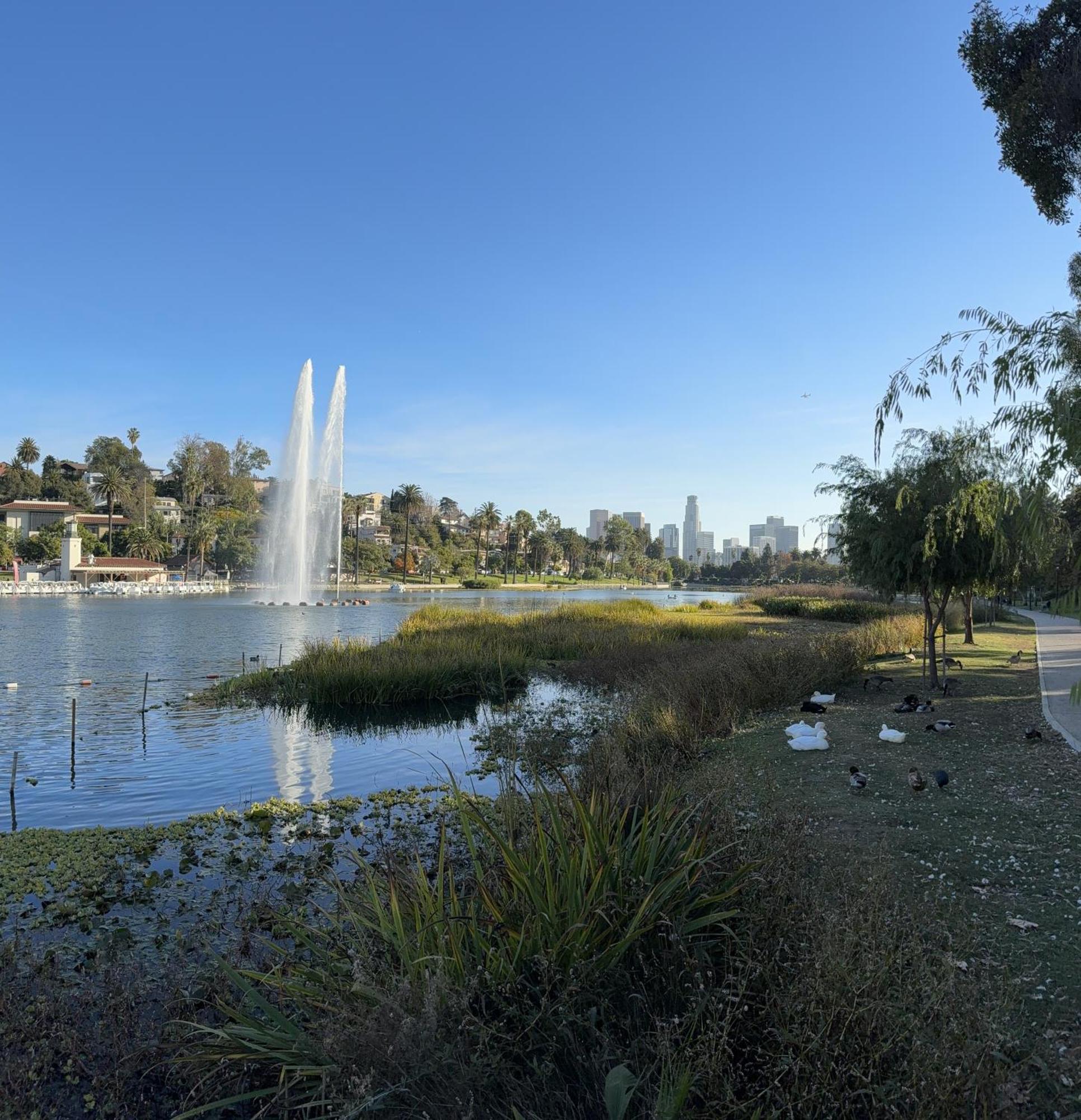 Homestay Angeles Dream